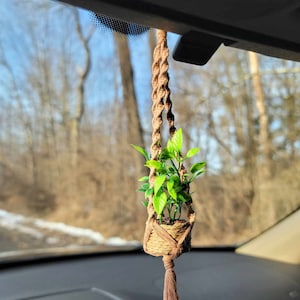 May include: A small potted plant hanging from the rearview mirror of a car. The plant is in a brown macrame planter with a tassel. The plant is green and has small leaves.
