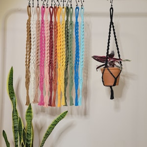 May include: A collection of colorful macrame plant hangers in various shades, including brown, pink, yellow, green, and blue, hanging from a gold bar. A black macrame plant hanger holds a potted plant with dark red leaves.