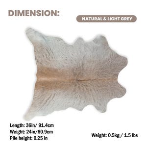 May include: A natural and light grey cowhide rug. The rug is 36 inches long, 24 inches wide, and has a pile height of 0.25 inches. The weight is 1.5 lbs. The rug has a unique shape and texture.