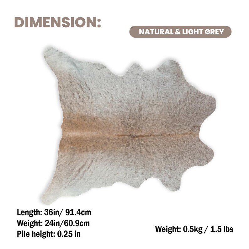 May include: A natural and light grey cowhide rug. The rug is 36 inches long, 24 inches wide, and has a pile height of 0.25 inches. The weight is 1.5 lbs. The rug has a unique shape and texture.