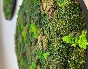 Moss wall art