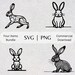 Rabbit SVG PNG Collection Illustration Hand Drawn Clipart Art Themed ...