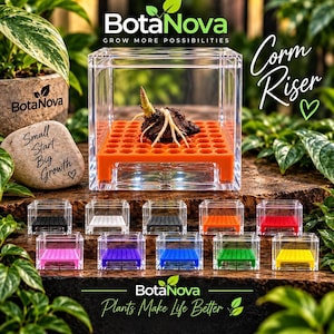 Puede incluir: Una vitrina cúbica de acrílico transparente que contiene una bandeja de rejilla naranja con un cormo de planta en su interior. Debajo, diez vitrinas adicionales están dispuestas en dos filas, con bandejas de rejilla en negro, blanco, naranja, rojo, rosa, morado, azul, verde y amarillo.