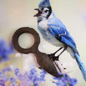 Puede incluir: Un anillo de metal oxidado con un extremo puntiagudo, que se asemeja a un arma medieval. El anillo es circular y tiene una textura rugosa y envejecida. El objeto está fotografiado sobre un fondo borroso de flores moradas y un arrendajo azul.