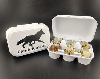 Velas de huevo de codorniz