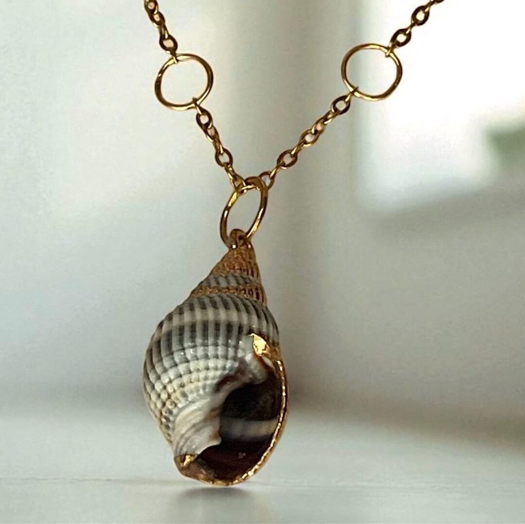 Gold Chain Shell Necklace | Beach Inspired Jewelry | Modern Style ...