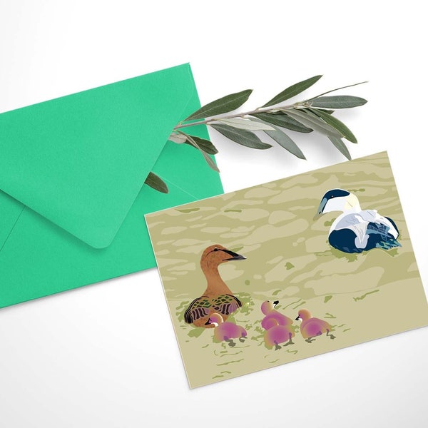 Carte canards Eider avec enveloppe