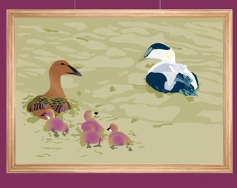 Eider duck poster