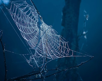 Fine Art Print - Landscape Photography, Wall Art, Fine Art, Photography Gift, Photography, Fine Art, Photo Print, Spiderweb