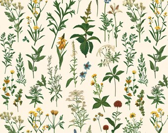 Vintage Botanical Peel and Stick Wallpaper – Meadow Wildflowers Wall Mural, Cottagecore Herbarium Print, Neutral Green Floral Accent Walls