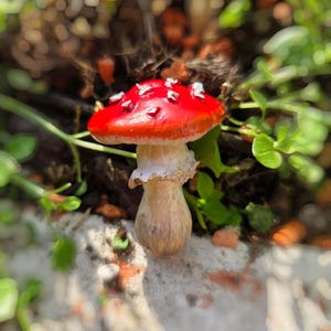 Può includere: Vassoio da portata in legno fatto a mano con finitura naturale. Di forma rettangolare, con bordi rialzati e manici integrati. La venatura del legno è visibile. Dimensioni: circa 40 cm di lunghezza e 25 cm di larghezza.