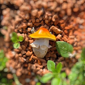 Miele - zauberhafte Zauberpilz-Brosche