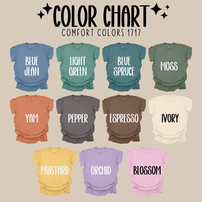 Comfort Colors Paraprofessional Shirt, Preppy Floral Para Squad Tshirt, Para Appreciation Gift, Wildflower Teacher Aide Back To School Tee image 9