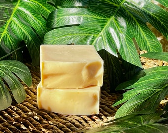 BARRA DE JABÓN DE SIDRA DE MANZANA Y PROBIÓTICO / Jabón Yoni totalmente natural / Jabón Yoni orgánico / Jabón femenino / Jabón hecho a mano prensado en frío / Regalos para ella