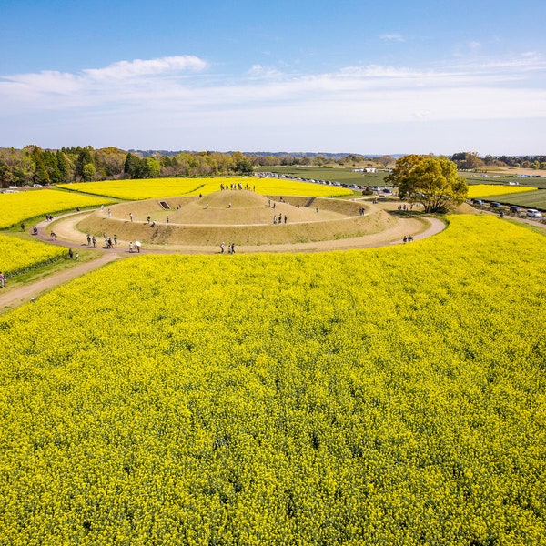 Saitobaru Burial Mounds, Aerial Photography, Print-at-home Wall Art, Digital Download, Saito Miyazaki, Japan Landscapes, Sakura, Spring