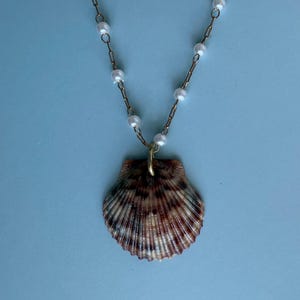 Calico Scallop Shell Necklace