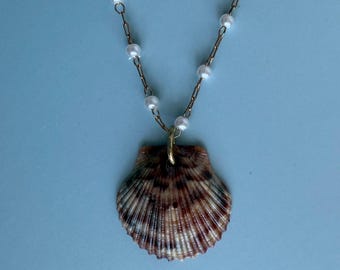 Calico Scallop Shell Necklace
