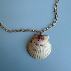 Calico Scallop Shell Necklace