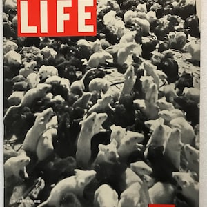 Life Magazine, March 1, 1937