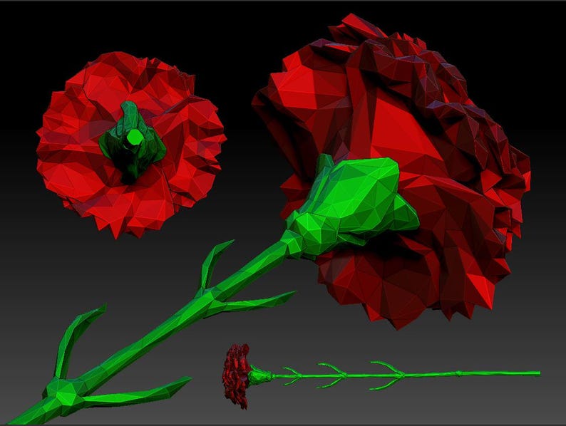 May include: A red carnation flower with green leaves in a low-poly style. The flower is shown in three different views.