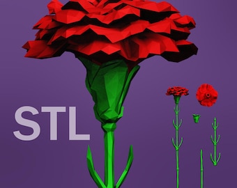 May include: A red carnation flower with green leaves and stem. The flower is shown in different stages of growth, from a bud to a fully bloomed flower. The word "STL" is written in white letters on a purple background.
