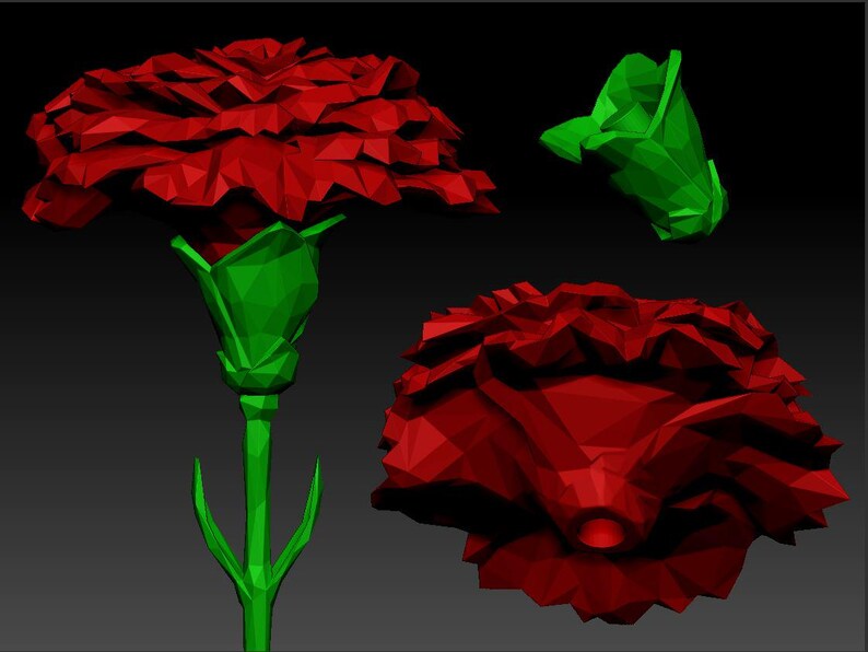 May include: A red carnation flower with green leaves and a green stem. The flower is made of polygons and has a 3D effect.