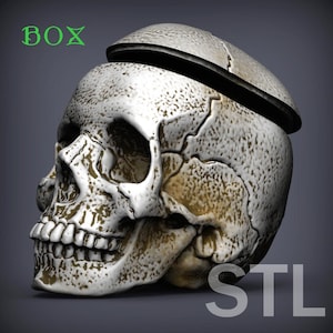 Caixa de Crânio Humano - Arquivo Digital STL para Impressão 3D