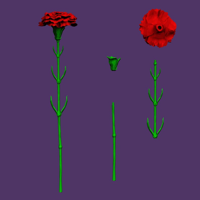 May include: A red carnation flower with a green stem and leaves. The flower is shown in different stages of growth, from bud to full bloom.