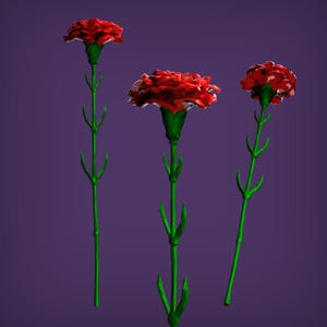 May include: Three red carnations with green stems against a purple background.