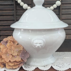 Vintage Lion Head Tureen