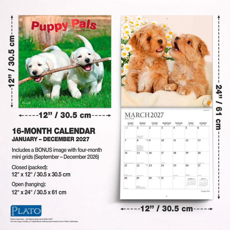 Puede incluir: Un calendario de pared Puppy Pals de 16 meses para 2027, que mide 30,5 cm por 30,5 cm cerrado y 30,5 cm por 61 cm abierto. La portada muestra dos cachorros blancos jugando con un palo en la hierba, mientras el interior muestra marzo de 2027.