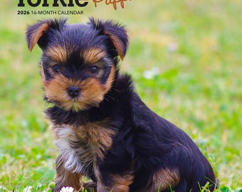 Yorkshire Terrier Puppies | 2026 7 x 14 Inch (Hanging) Monthly Mini Wall Calendar | BrownTrout | Animals Small Dog Breeds Yorkies