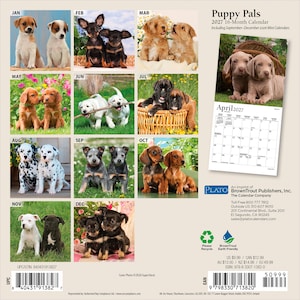 Puede incluir: Un calendario de pared de 16 meses para 2027 titulado Puppy Pals que presenta doce cuadr&iacute;culas mensuales y varias fotograf&iacute;as de cachorros. La contraportada muestra una vista previa de la p&aacute;gina de abril de 2027, informaci&oacute;n editorial y dos c&oacute;digos de barras.