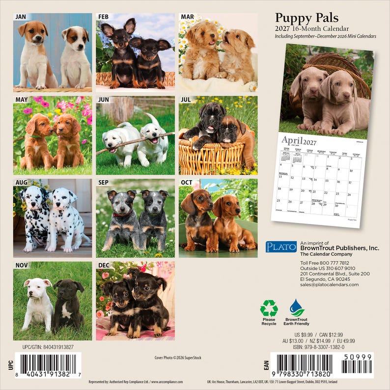 Puede incluir: Un calendario de pared de 16 meses para 2027 titulado Puppy Pals que presenta doce cuadr&iacute;culas mensuales y varias fotograf&iacute;as de cachorros. La contraportada muestra una vista previa de la p&aacute;gina de abril de 2027, informaci&oacute;n editorial y dos c&oacute;digos de barras.