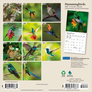 K&ouml;nnte beinhalten: Ein 16-monatiger Wandkalender f&uuml;r 2027 mit dem Titel Hummingbirds, der zw&ouml;lf verschiedene Farbfotos von Kolibris im Flug oder auf &Auml;sten sitzend zeigt. Die R&uuml;ckseite enth&auml;lt ein Kalenderblatt f&uuml;r April 2027, Verlagsinformationen und zwei Barcodes.
