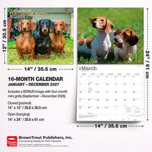 Pu&ograve; includere: Un calendario da parete di 16 mesi intitolato For the Love of Dachshunds, da gennaio a dicembre 2027. Presenta fotografie di bassotti, misura 35,6 cm per 61 cm quando &egrave; aperto e include una griglia bonus di quattro mesi per fine 2026.