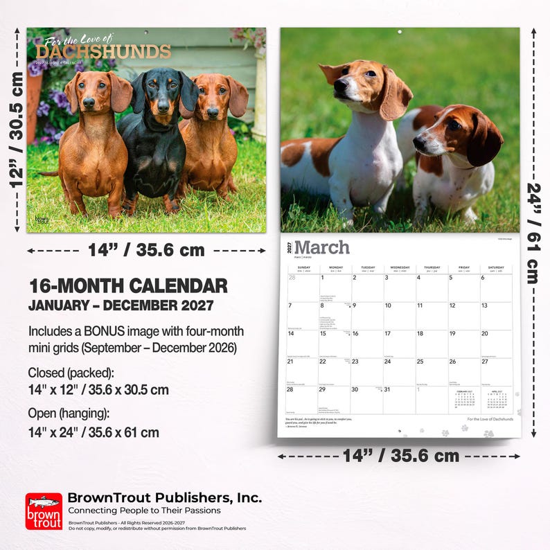 Pu&ograve; includere: Un calendario da parete di 16 mesi intitolato For the Love of Dachshunds, da gennaio a dicembre 2027. Presenta fotografie di bassotti, misura 35,6 cm per 61 cm quando &egrave; aperto e include una griglia bonus di quattro mesi per fine 2026.