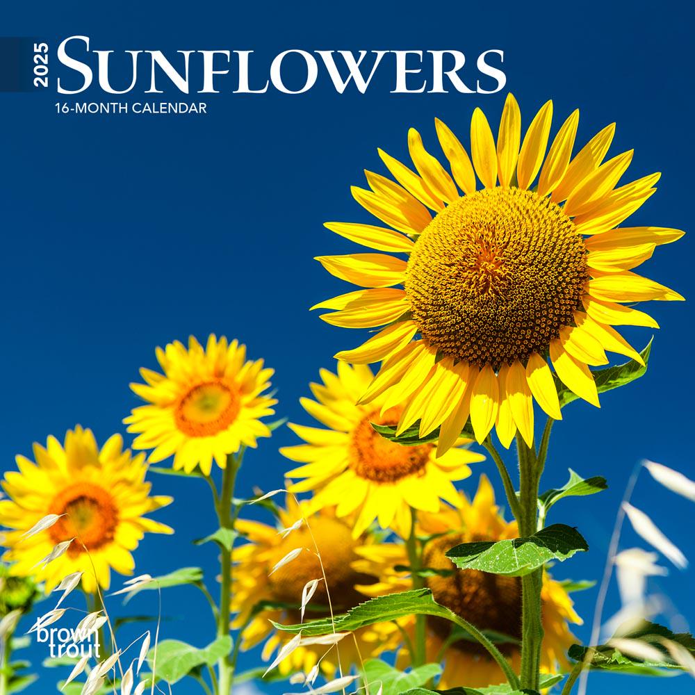 sunflowers-2025-7-x-14-inch-monthly-mini-wall-calendar-browntrout-flower-outdoor-plant-etsy