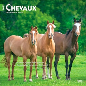 May include: A 2027 wall calendar titled CHEVAUX CALENDRIER DE 16 MOIS featuring three horses standing in a green field. The horses have brown coats and white facial markings. The text reads: Ta robe est soyeuse, douce et lustr&eacute;e, Oh, mon doux cheval, mon bien-aim&eacute;. -Dorothea Gilroy.