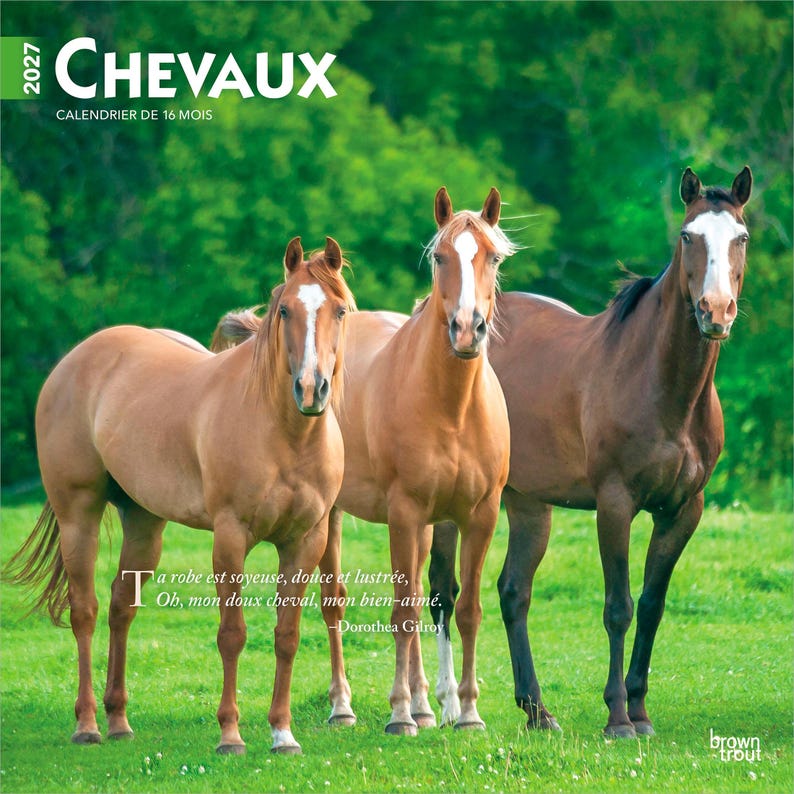 May include: A 2027 wall calendar titled CHEVAUX CALENDRIER DE 16 MOIS featuring three horses standing in a green field. The horses have brown coats and white facial markings. The text reads: Ta robe est soyeuse, douce et lustr&eacute;e, Oh, mon doux cheval, mon bien-aim&eacute;. -Dorothea Gilroy.