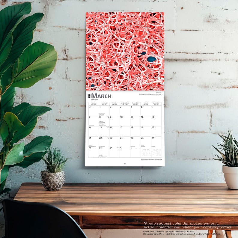 May include: A wall calendar for March 2027 featuring a top image of a microscopic red fibrous structure. The calendar grid displays the days of the month with the text March 2027 at the top and Microscopic World of Organisms at the bottom.