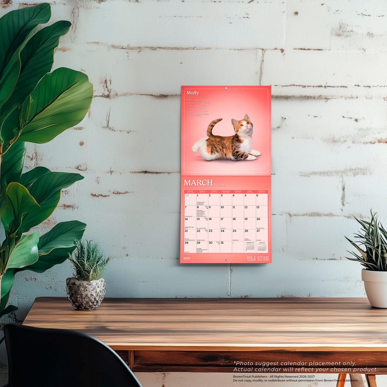 May include: A wall calendar for the month of March featuring a photograph of a calico cat named Molly on the top half. The bottom half displays a grid of dates for the month with the text MARCH printed in bold white letters at the top of the grid.