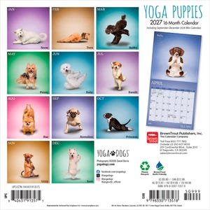 Może przedstawiać: 16-miesięczny kalendarz Yoga Puppies na 2027 rok z dwunastoma kwadratowymi panelami przedstawiającymi zdjęcia szczeniąt w r&oacute;żnych pozach jogi, w tym dużą stronę kwietniową z brązowo-białym szczeniakiem w pozycji medytacyjnej.