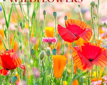 Wildflowers | 2026 12 x 24 Inch (Hanging) Monthly Square Wall Calendar | Plastic-Free | BrownTrout | Flower Outdoor Plant