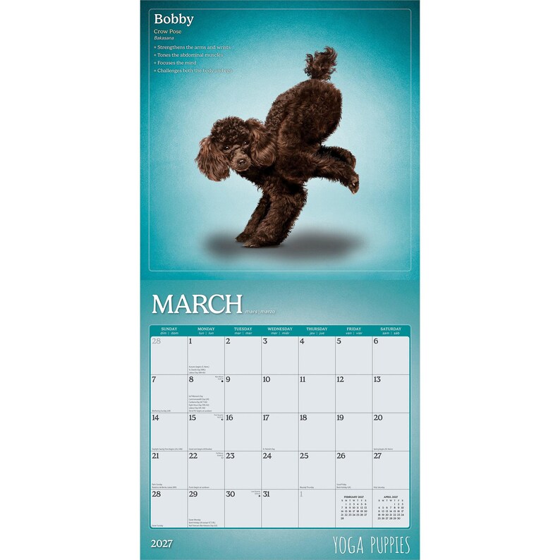 K&ouml;nnte beinhalten: Ein Wandkalender f&uuml;r M&auml;rz 2027 mit einem braunen Pudel in einer Yoga-Pose. Der Text lautet Bobby, Crow Pose, Bakasana und nennt Vorteile wie die St&auml;rkung von Armen und Handgelenken. Das Kalenderblatt zeigt den M&auml;rz 2027 auf einem blaugr&uuml;nen Hintergrund.