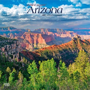 May include: A 2027 16-month calendar titled wild & scenic Arizona featuring a landscape photograph of a canyon with red rock formations, green pine trees in the foreground, and a blue sky filled with white clouds above the horizon.