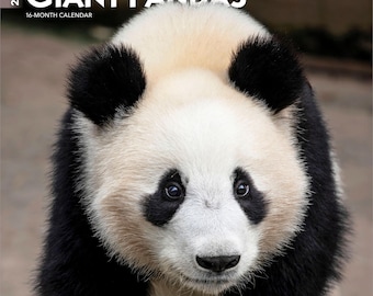 May include: A 2027 16-month calendar titled GIANT PANDAS featuring a high-resolution photograph of a giant panda with its characteristic black and white fur, black eye patches, and black ears. The text BrownTrout is printed in the bottom left corner.