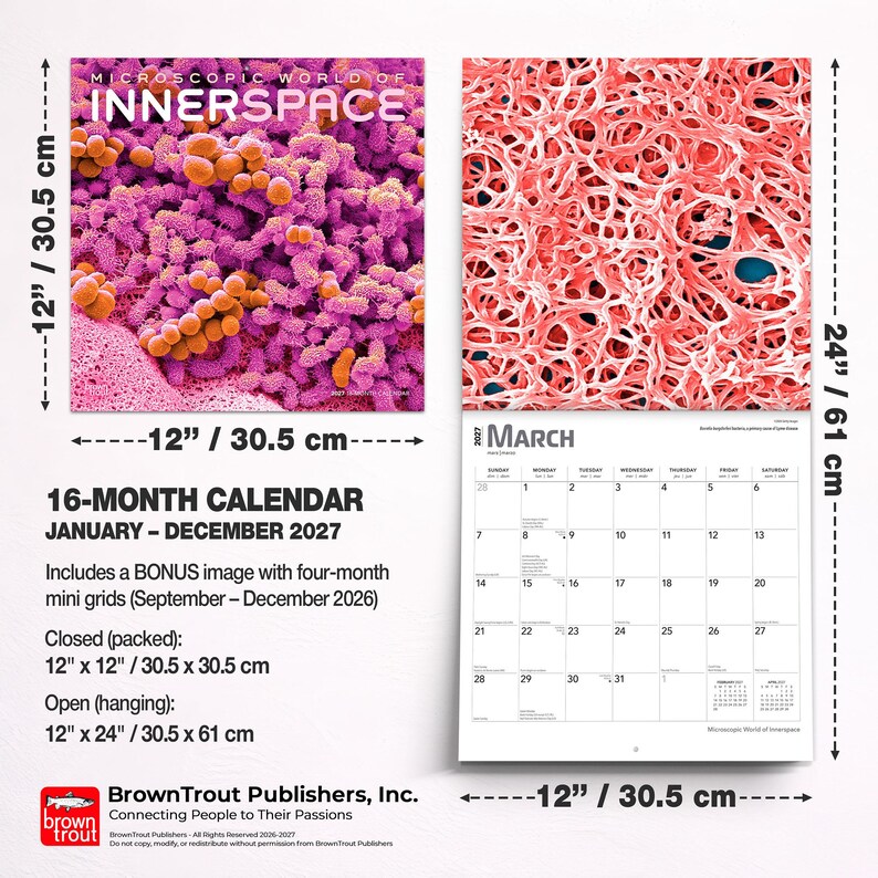 May include: A 16-month wall calendar titled Microscopic World of InnerSpace for 2027. It measures 12 inches by 12 inches closed and 12 inches by 24 inches open. The cover features purple and orange cellular structures, while the interior shows March.