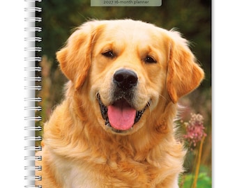 Golden Retrievers / Calendario planificador semanal de compromisos con espiral Wire-O de 6 x 7,75 pulgadas, 2027 / Nueva imagen a todo color cada semana / BrownTrout