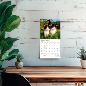 May include: A wall calendar for March 2027 featuring a photograph of two black and white kittens sitting in green grass. The calendar grid displays the days of the month with clear black text on a white background, showing dates from the first to the thirty-first.